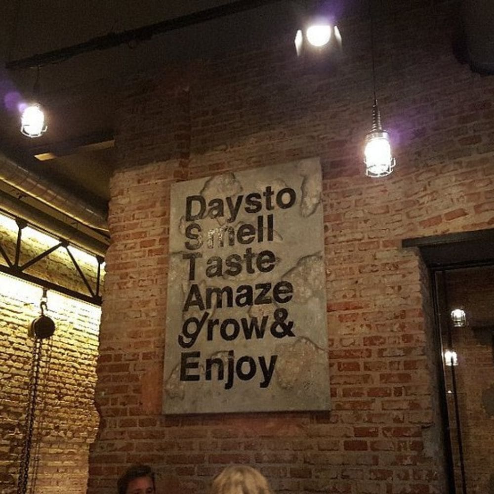 Restaurante Dstage – Milla de Oro de Madrid – Barrio de Salamanca – Estrella Michelin – Imagen 5