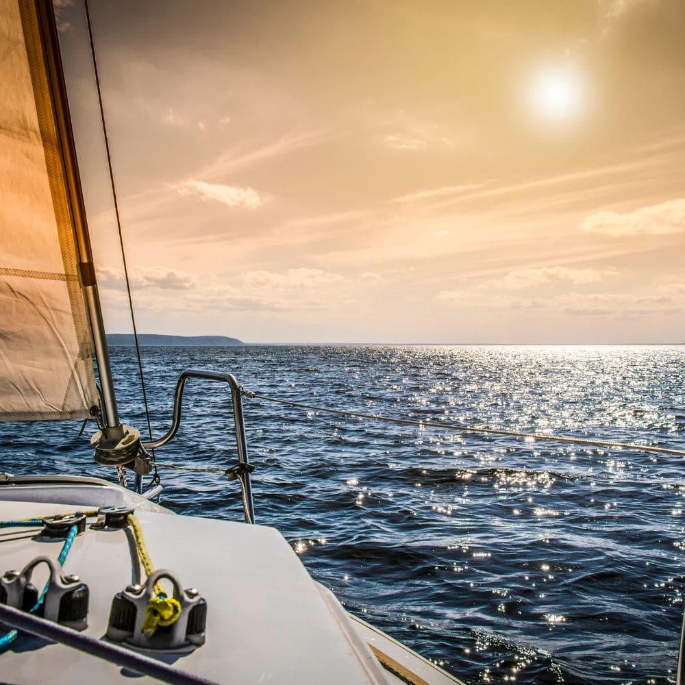 Pepe Boats – alquiler barcos y yates en ibiza -imagen 2